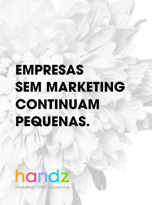 Como nasceu a handz.